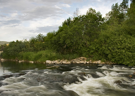 Riparian Areas | WFRC Natural and Other Resources